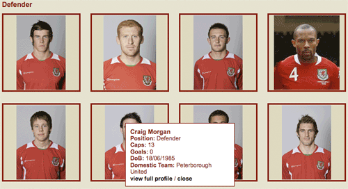 Welsh squad pictures