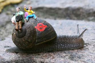 Metro Snail