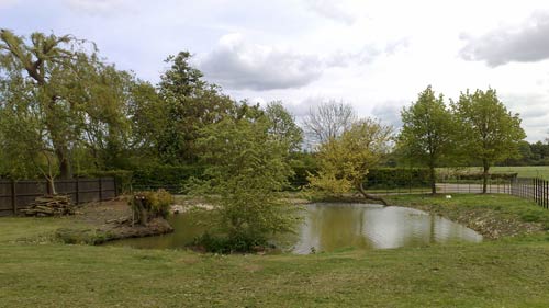 A pond at Wimpole Home Farm