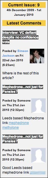 Leeds Student Online comment column