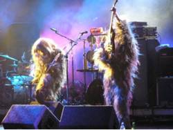 Super Furry Animals in Yeti mode