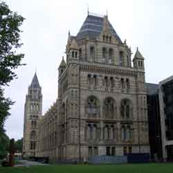 The Natural History Museum, London