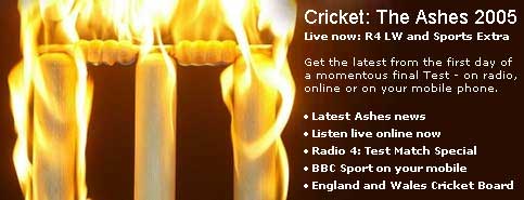 BBC Homepage Ashes promo
