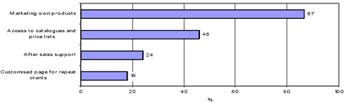 Graph illustrating different levels of enterprise website service in the EU