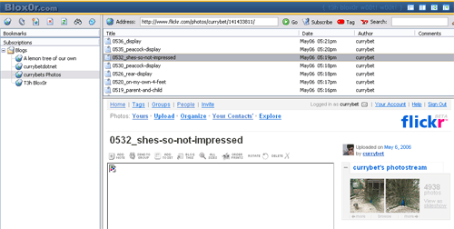 T3h Blox0r and Flickr
