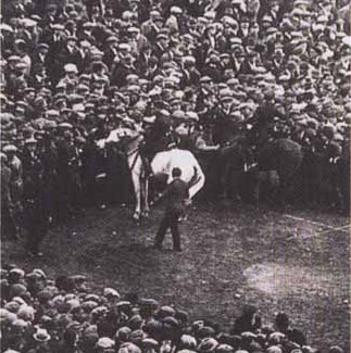 Billie the White Horse at Wembley