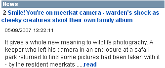 Meerkats in the Daily Mail