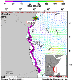 Turtle tracking map