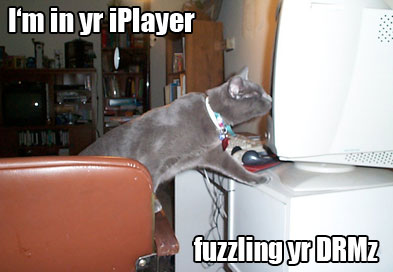 fuzzling_yr_drmz.jpg