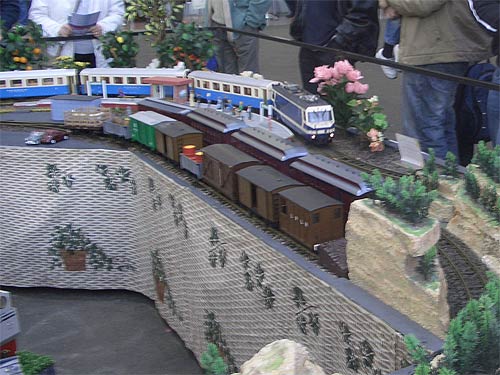 Model track layout