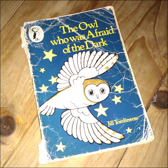 The Owl Who Was Afraid Of The Dark