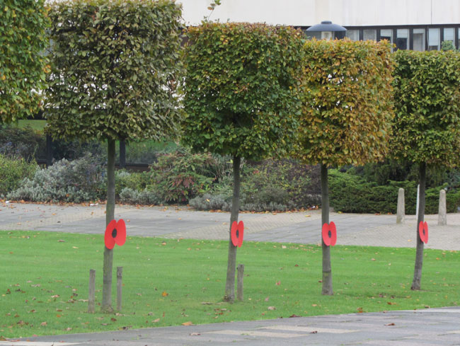 Poppies at Waltham Forest Town Hall