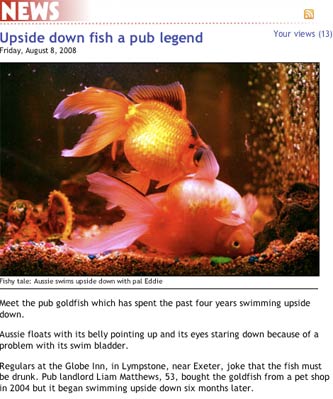 Metro's upside down pub fish story