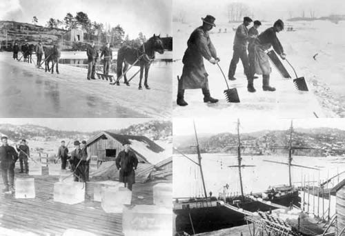 Images of the ice harvest in Norway