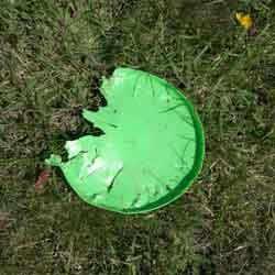 Three-quarters of a frisbee