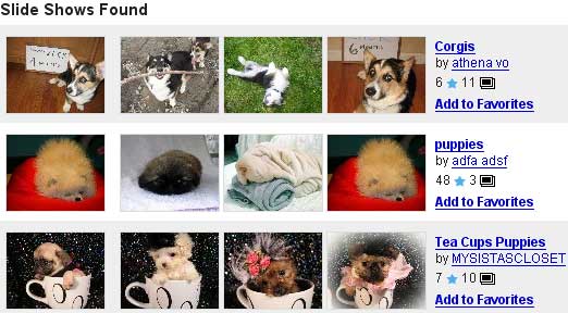 Slide results on a search for puppies