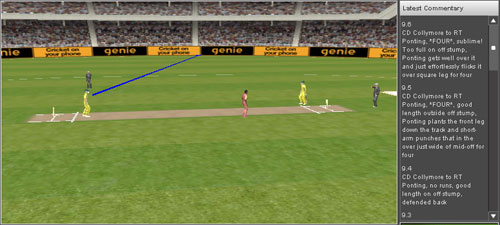 20070405_cricket-sim-4.jpg
