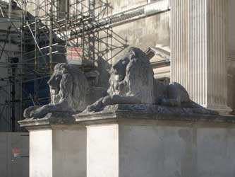 The stone lions at Fitzwilliam Museum, Cambridge