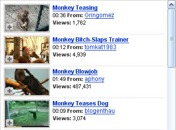Related monkey clips on YouTube