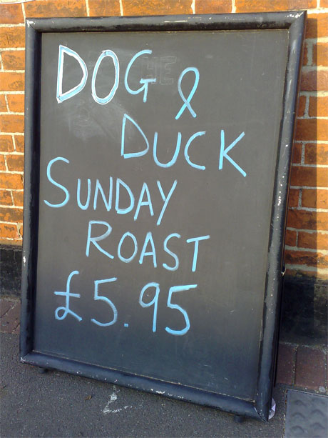 Roast Dog and Duck