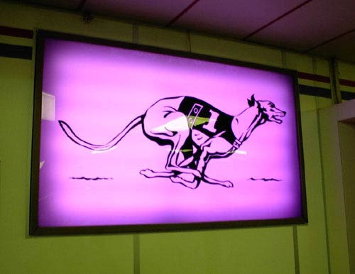 Purple greyhound sign