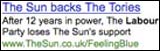The Sun advert on Google