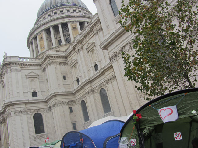 Poppies at Occupy London